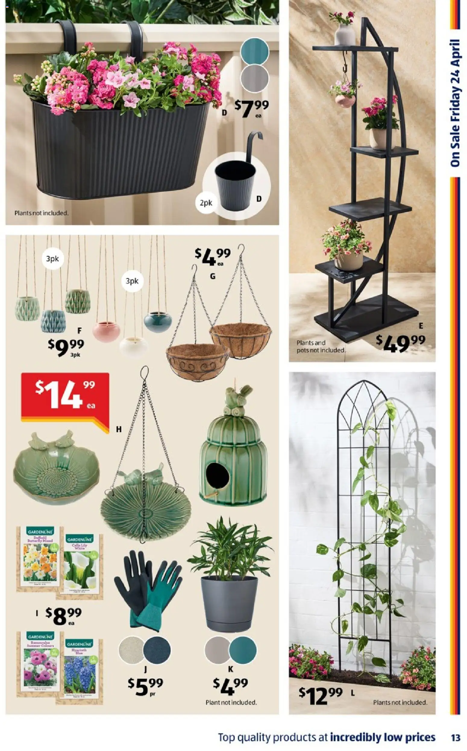 Aldi catalogue - valid from 22.04.2026 | Page: 13 | Products: Plant