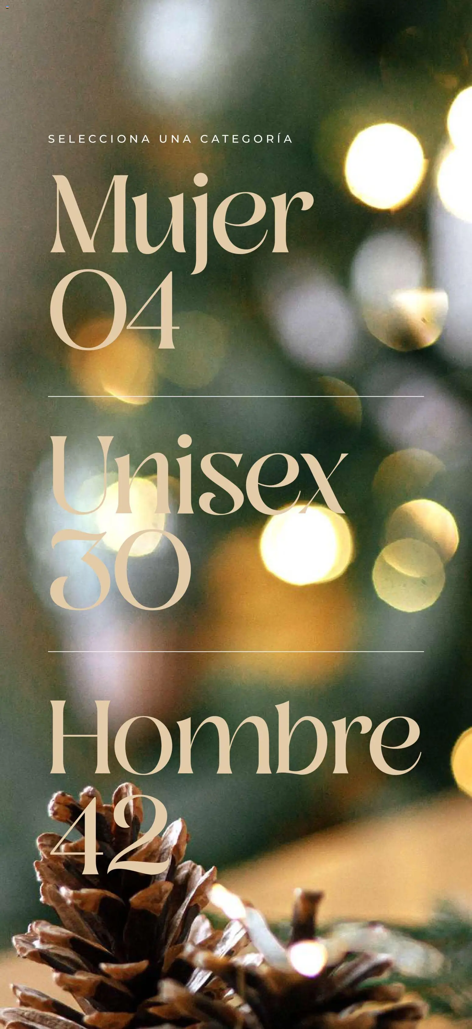 Nuevas ofertas de SC Pakar válidas en toda la República Mexicana desde el 14.11.2025. ¡Encuentra las mejores ofertas en SC Pakar catálogo Regalos Navidad! | Página: 3