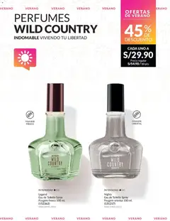 Vista previa de folleto Avon - Ciclo 01 de la Avon válido desde 01.01.2026 | Página: 225