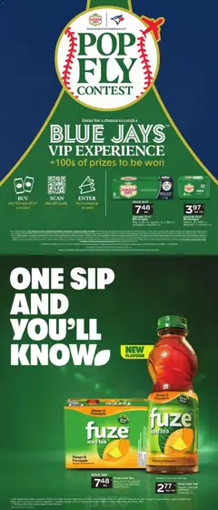 Preview of Giant Tiger weekly flyer / circulaire from shop Giant Tiger valid from 01.04.2026 | Page: 13