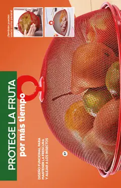 Vista previa de Fuller campaña 24 2026, nuevo folleto de la tienda, válido en México a partir del 04.03.2026 | Página: 38