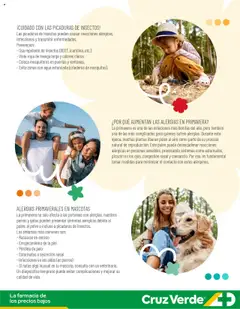 Ahorro Primavera Cruz Verde válido desde el 01.10.2025 | Página: 3 | Productos: Repelente, Manga, Polvo, Ropa