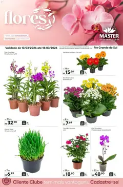Master ofertas Flores - Pré-Visualização do folheto da loja Master, válido de 13.03.2026
