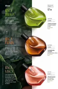 Vista previa de folleto Natura catálogo  - Ciclo 5 de la Natura válido desde 10.03.2026 | Página: 58