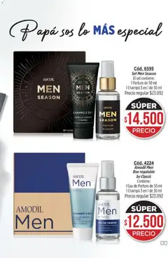 Vista previa Amodil - Campaña 8 válido desde el 08.04.2026 | Página: 17 | Productos: Papa, Champú