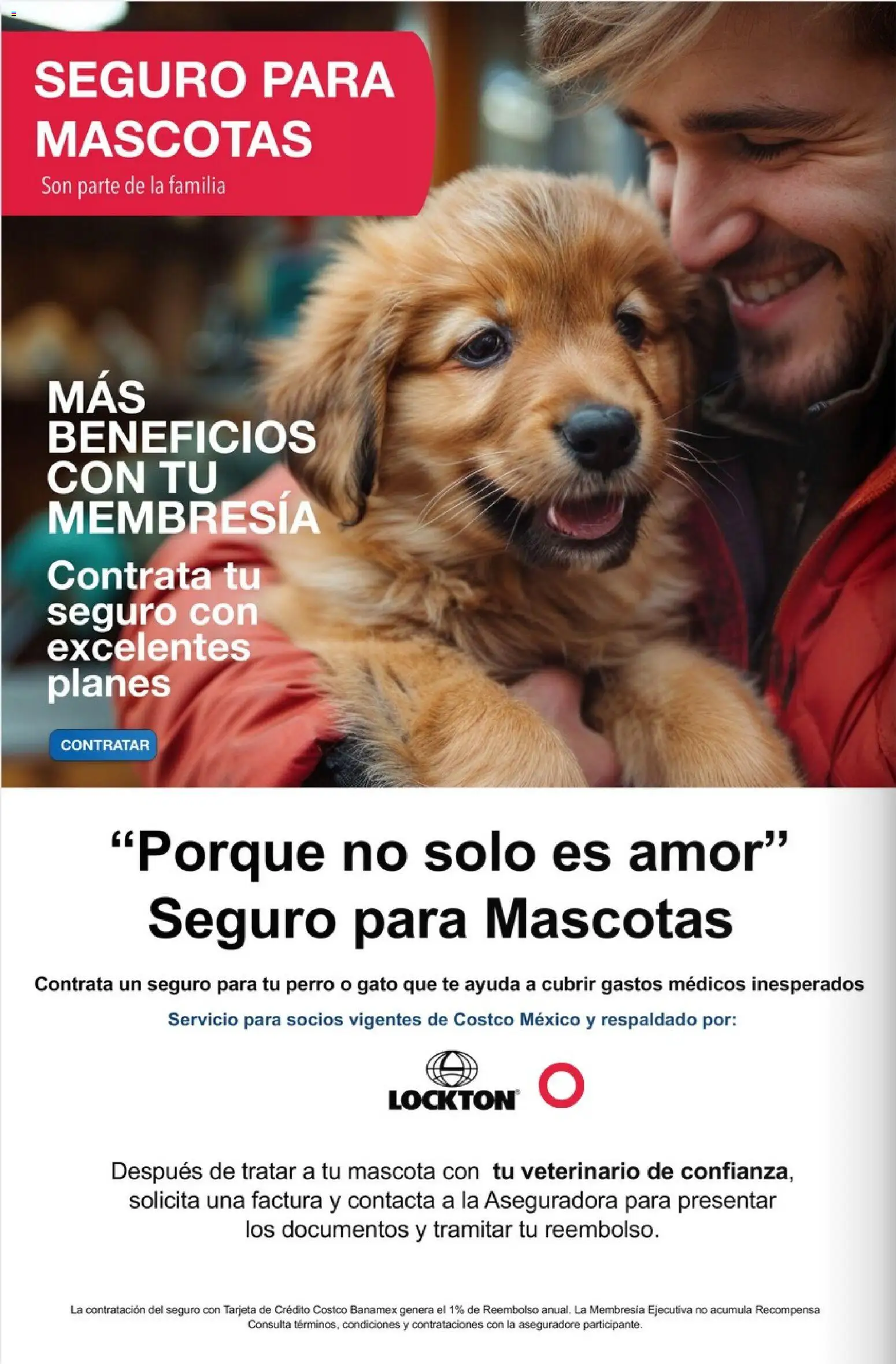 Nuevas ofertas de Costco válidas en toda la República Mexicana desde el 01.02.2026. ¡Encuentra las mejores ofertas en Costco Revista Febrero ! | Página: 10