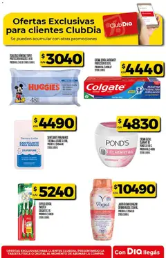 Vista previa Supermercado DIA Ofertas válido desde el 18.03.2026 | Página: 29