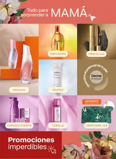 Vista previa de folleto Natura catálogo  - Ciclo 6 de la Natura válido desde 31.03.2026 | Página: 5 | Productos: Maquillaje