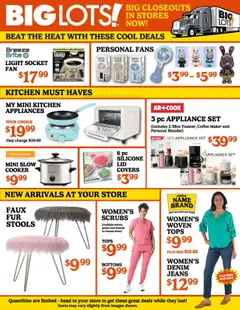 Big Lots Weekly Ad - valid from 14.08.2025 | Page: 3