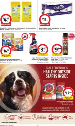 Preview of Coles  Catalogue  - valid from 25.12.2025 | Page: 36