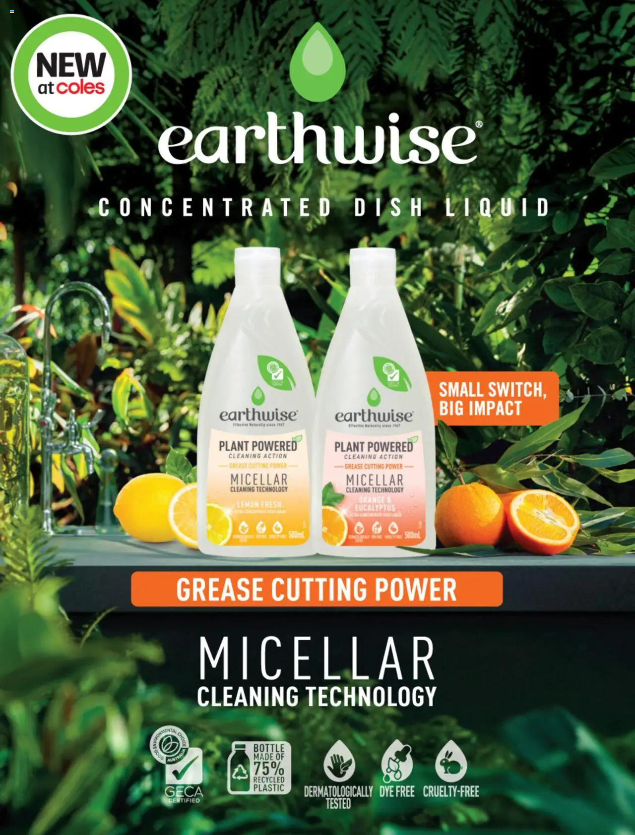 Coles catalogue - valid from 03.07.2025 | Page: 84 | Products: Plant, Lemon