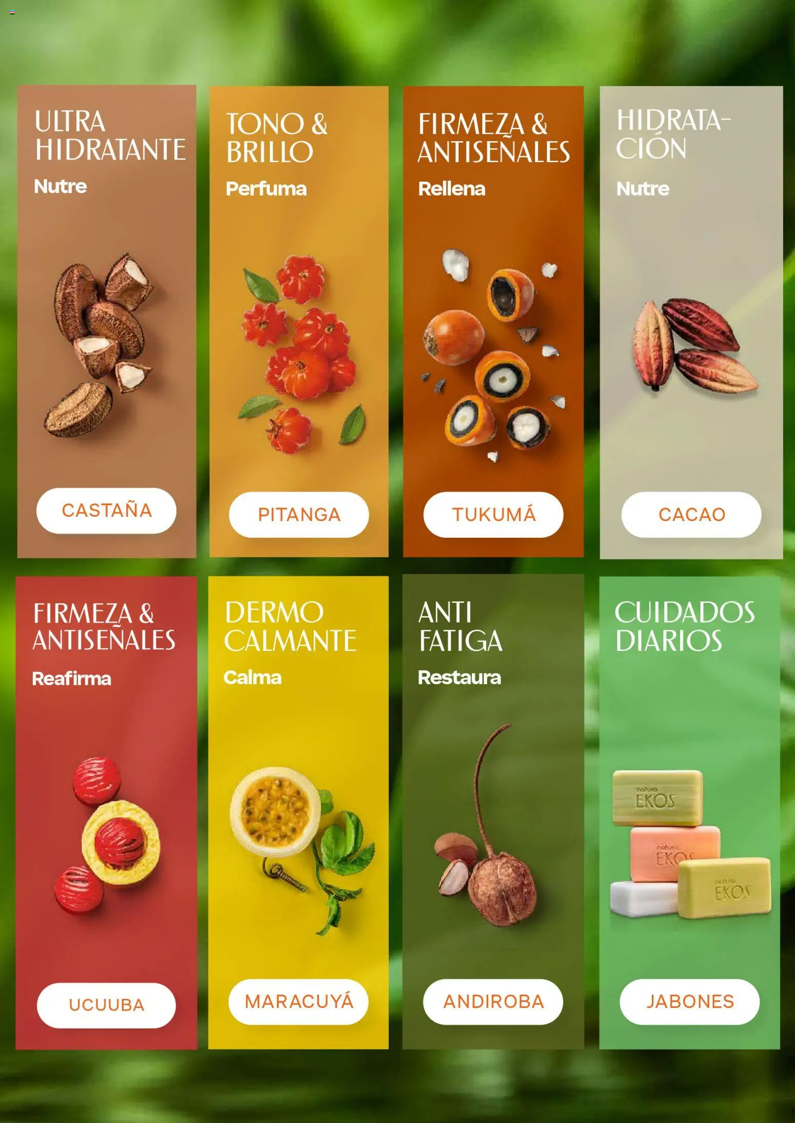 Natura catálogo _ ciclo 06 desde el 01/03/2026 > Promociones | Colombia