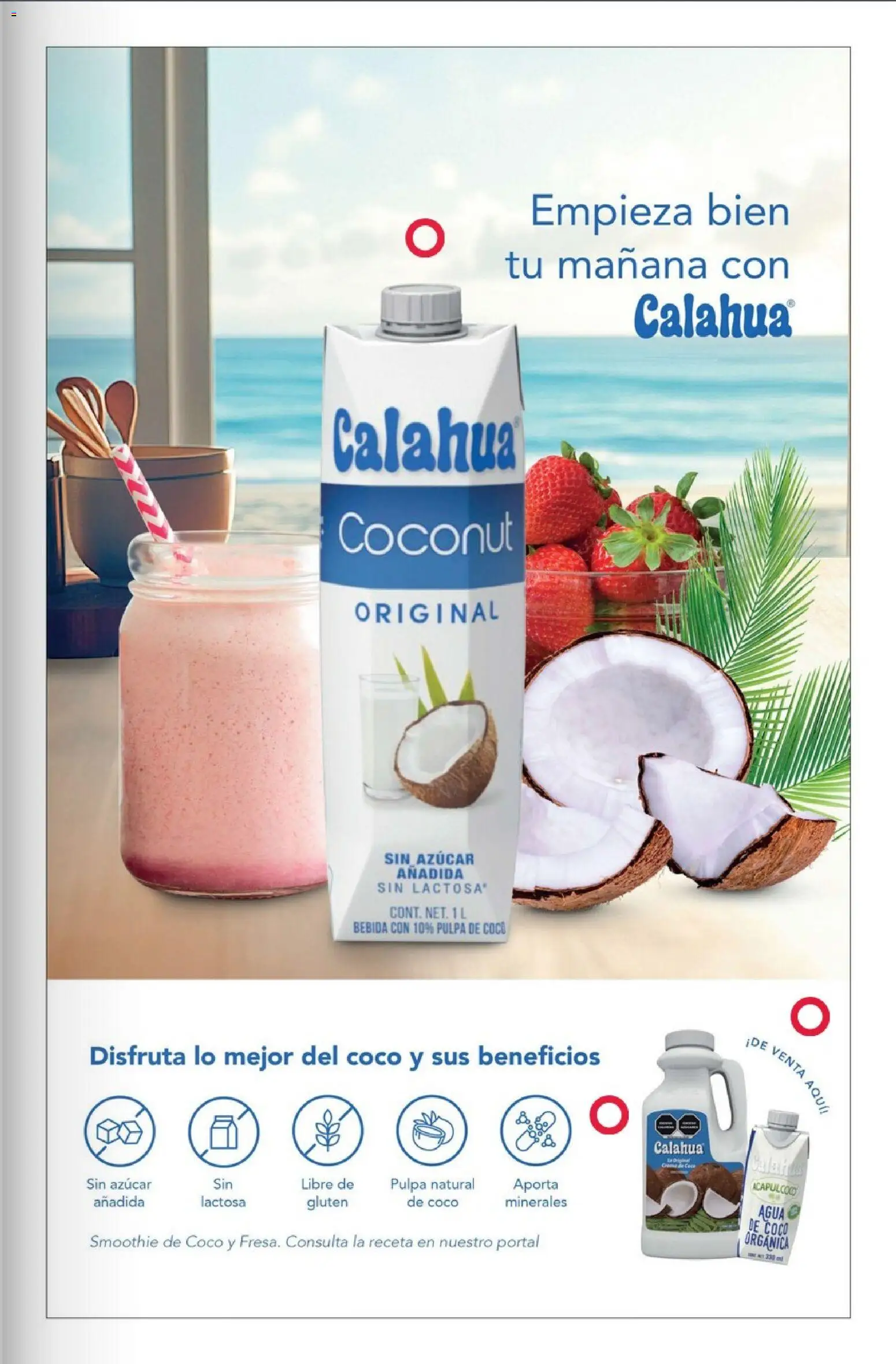 Nuevas ofertas de Costco válidas en toda la República Mexicana desde el 01.12.2025. ¡Encuentra las mejores ofertas en Costco Revista Diciembre! | Página: 99 | Productos: Azúcar, Crema, Agua