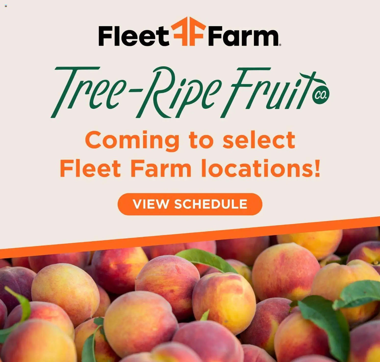 Mills Fleet Farm Weekly Ad - valid from 09.03.2026 | Page: 10