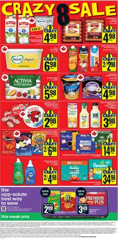 Preview of Food Basics - Cornwall from shop Food Basics valid from 16.10.2025 | Page: 3 | Products: Game, Milk, Coffee, Pork