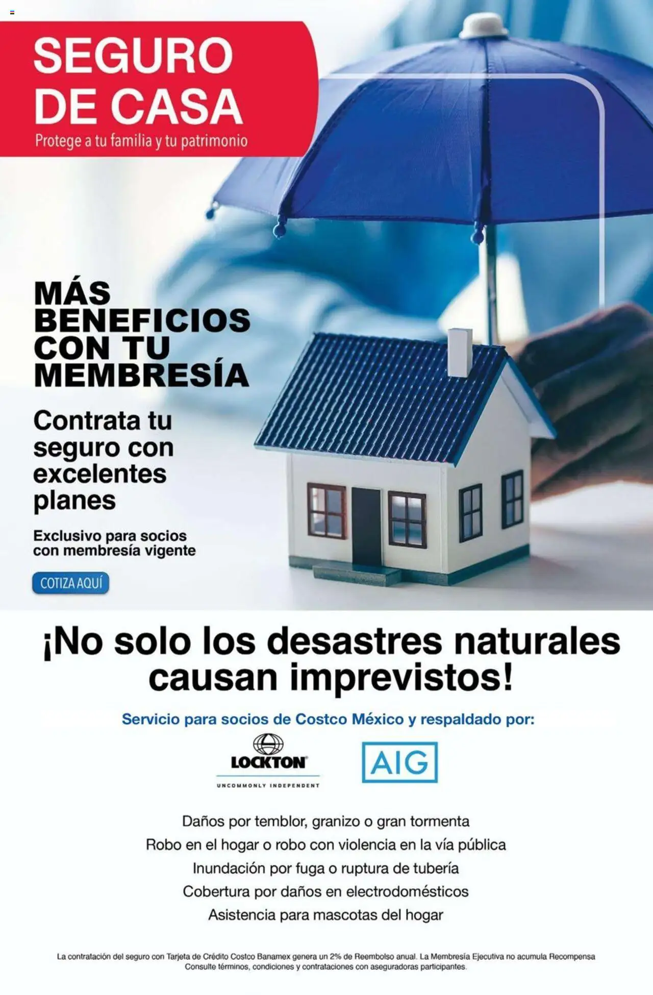 Nuevas ofertas de Costco válidas en toda la República Mexicana desde el 07.08.2025. ¡Encuentra las mejores ofertas en Costco - Catálogo Agosto! | Página: 10