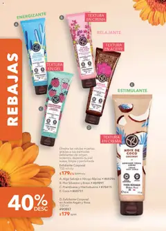 Nuevas ofertas de Yves Rocher válidas en toda la República Mexicana desde el 15.07.2025. ¡Encuentra las mejores ofertas en Yves Rocher - Campaña 10 2025! | Página: 8