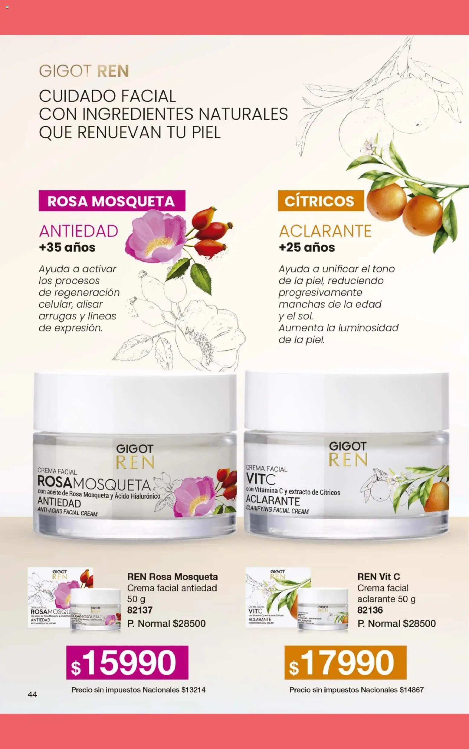 Gigot - CAMPAÑA 05 │ válido desde el 28.02.2026 | Página: 56 | Productos: Aceite, Crema