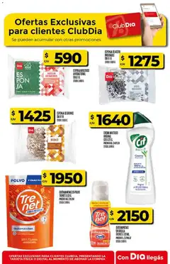 Vista previa Supermercado DIA Ofertas válido desde el 28.01.2026 | Página: 48