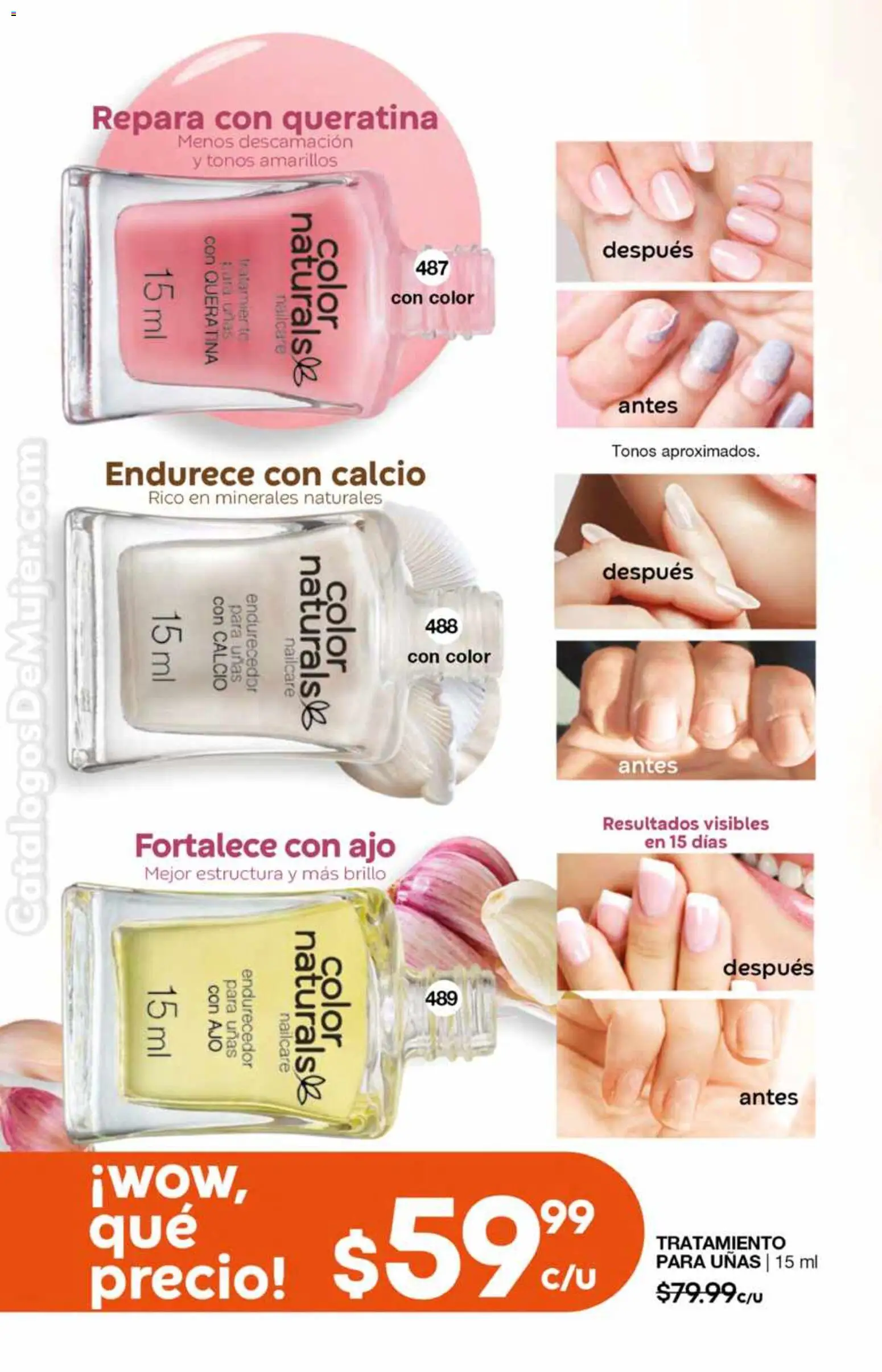 Nuevas ofertas de Fuller válidas en toda la República Mexicana desde el 26.11.2025. ¡Encuentra las mejores ofertas en Fuller campaña 17 2025! | Página: 150 | Productos: Ajo, Brillo