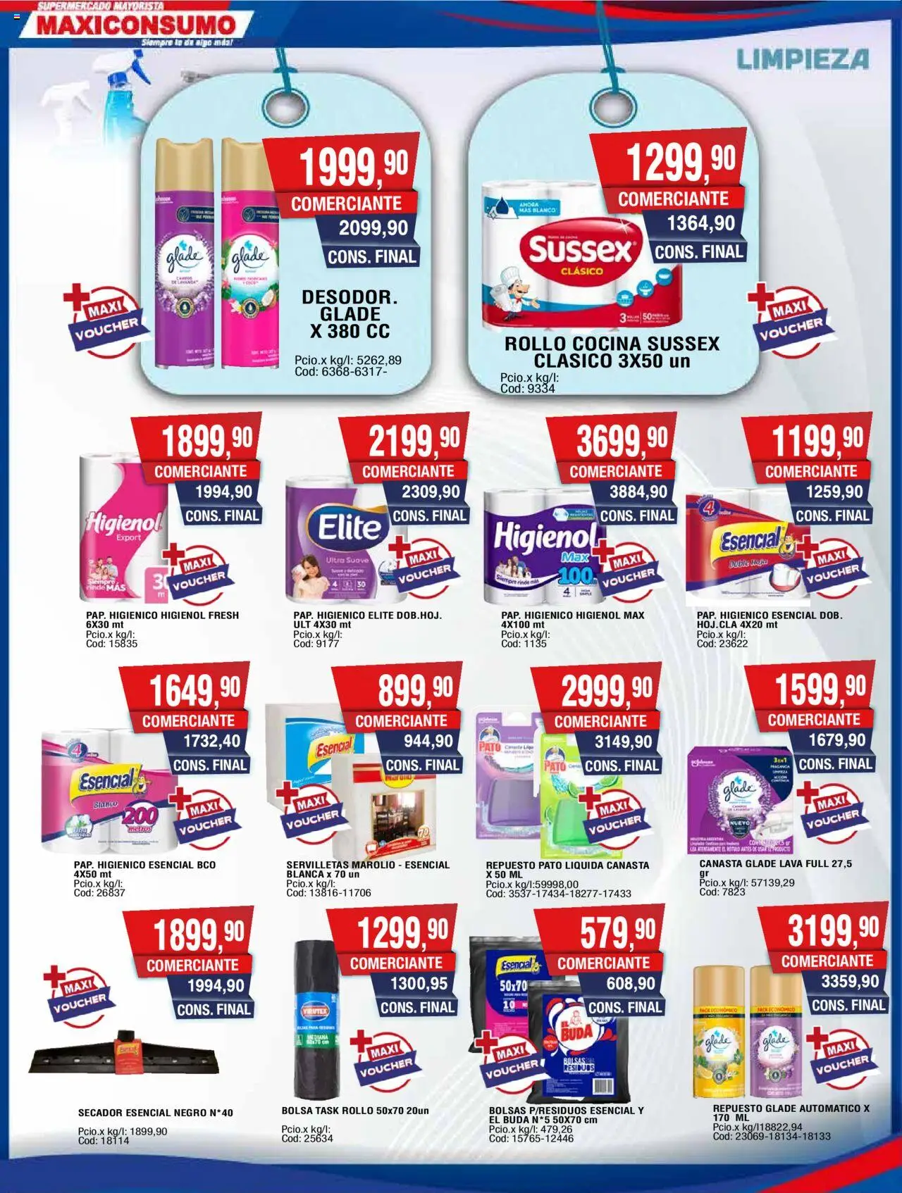 Maxiconsumo ofertas │ válido desde el 15.09.2025 | Página: 24 | Productos: Bolsa, Servilletas, Té, Canasta