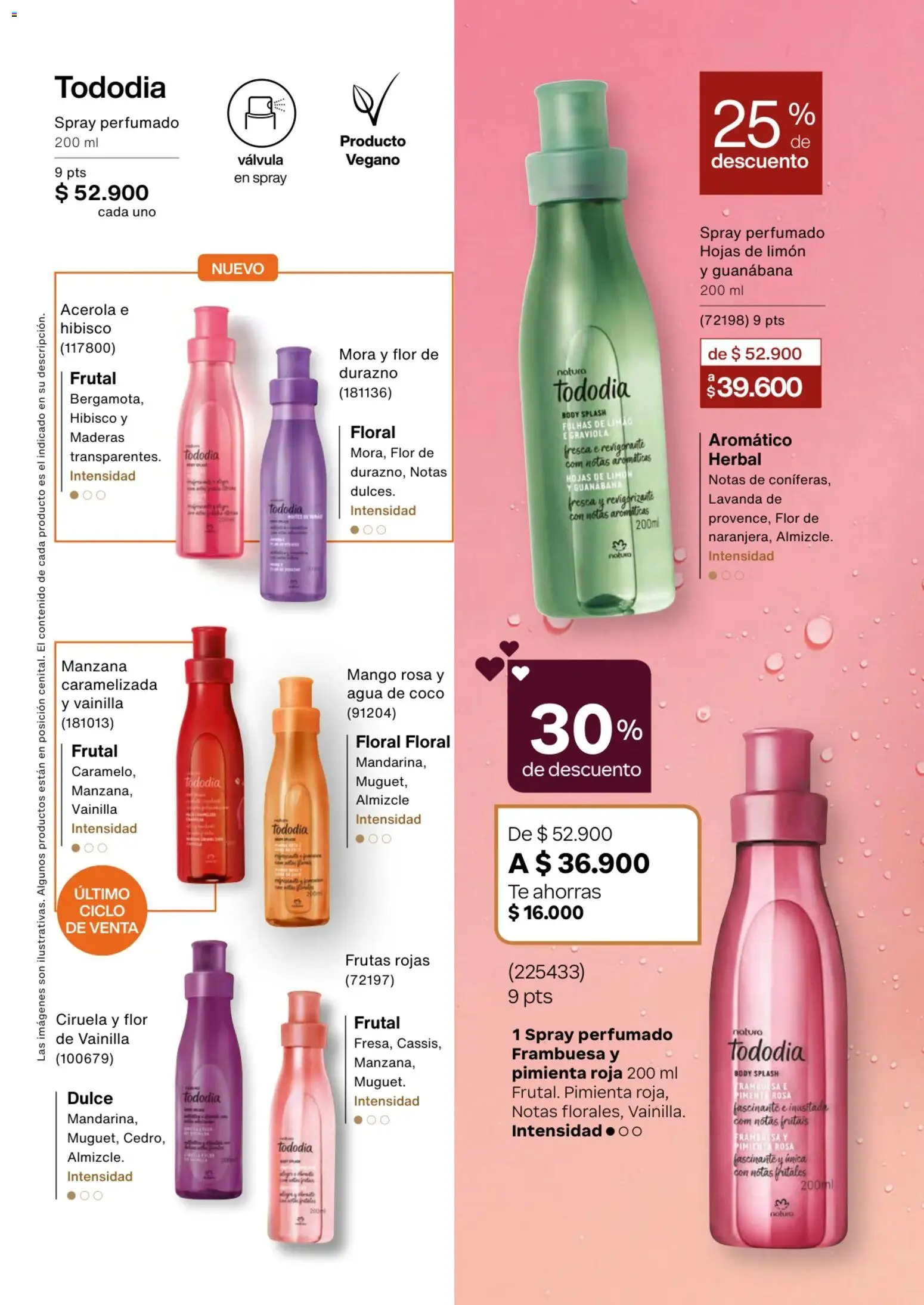 Natura revista - valida desde el 01.02.2026 | Página: 66 | Productos: Té, Limón, Mango, Mora