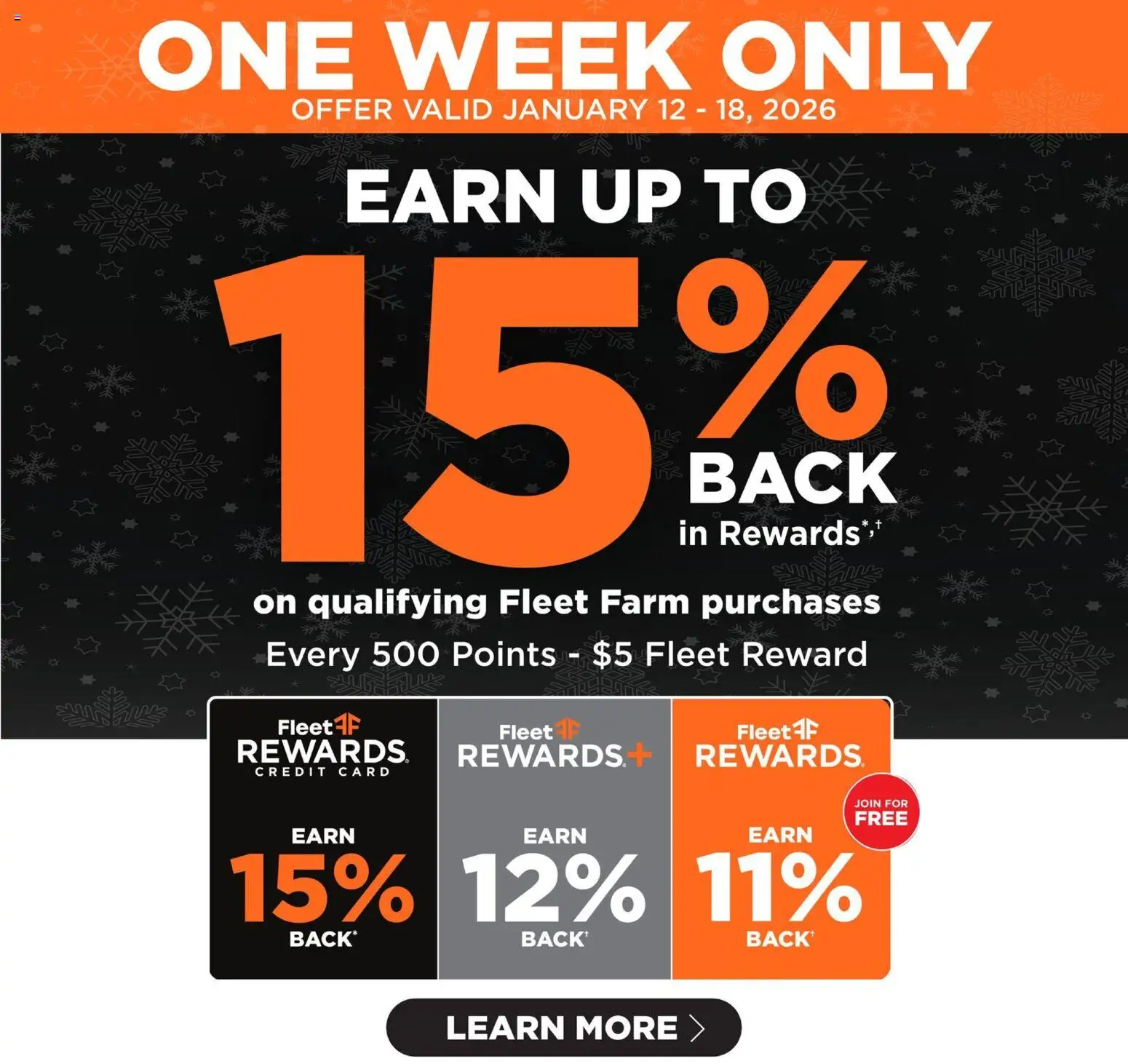 Mills Fleet Farm Weekly Ad - valid from 12.01.2026 | Page: 1