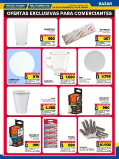 Vista previa Carrefour Maxi catálogo válido desde el 29.12.2025 | Página: 27