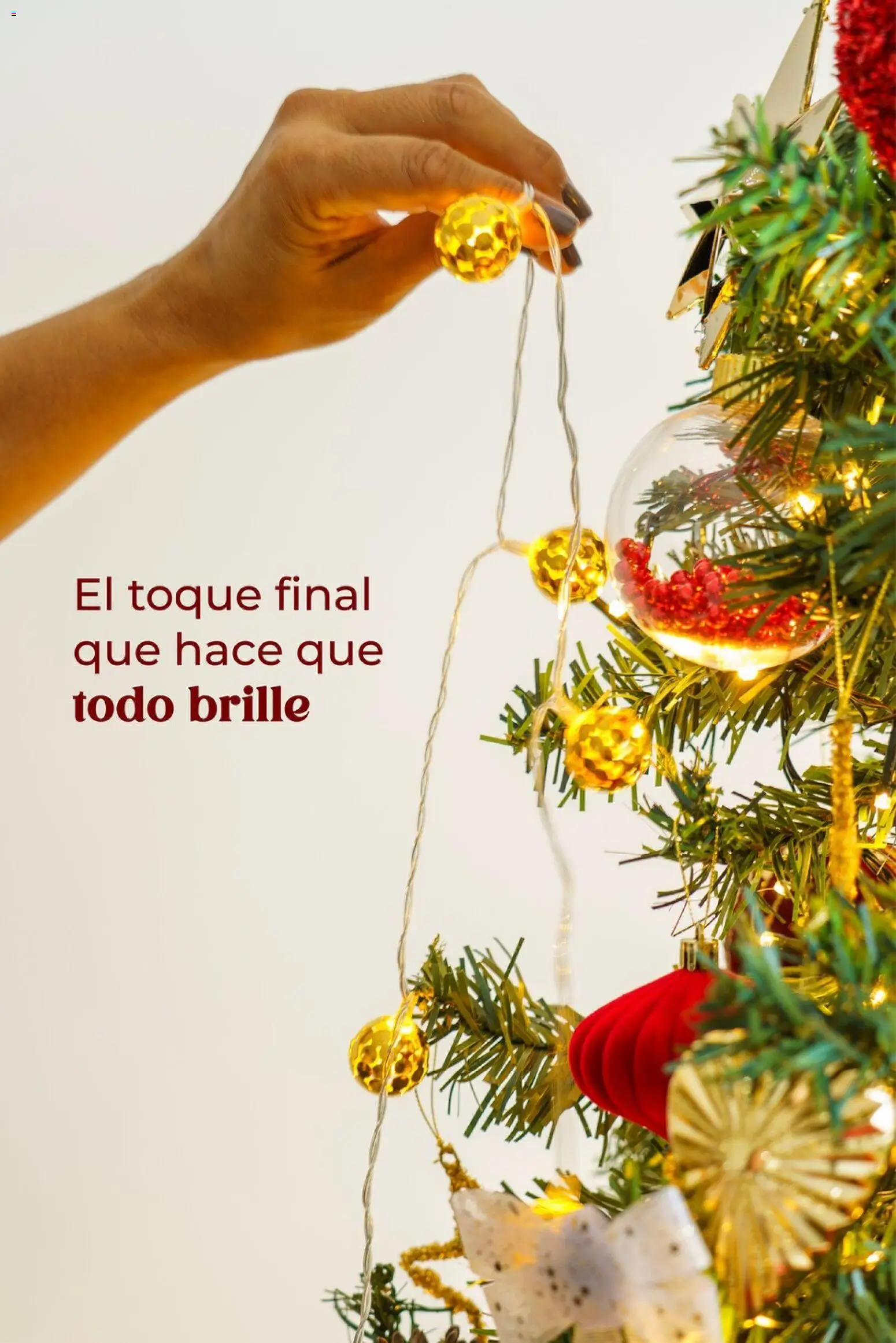 Easy - Catálogo - Navidad │ válido desde el 27.10.2025 | Página: 16