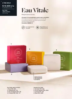 Yanbal revista - valida desde el 13.09.2025 | Página: 68 | Productos: Té, Jabón, Manteca