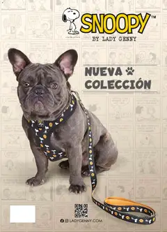 Ofertas Lady Genny válido desde el 09.02.2026 | Página: 216 | Productos: Grampa