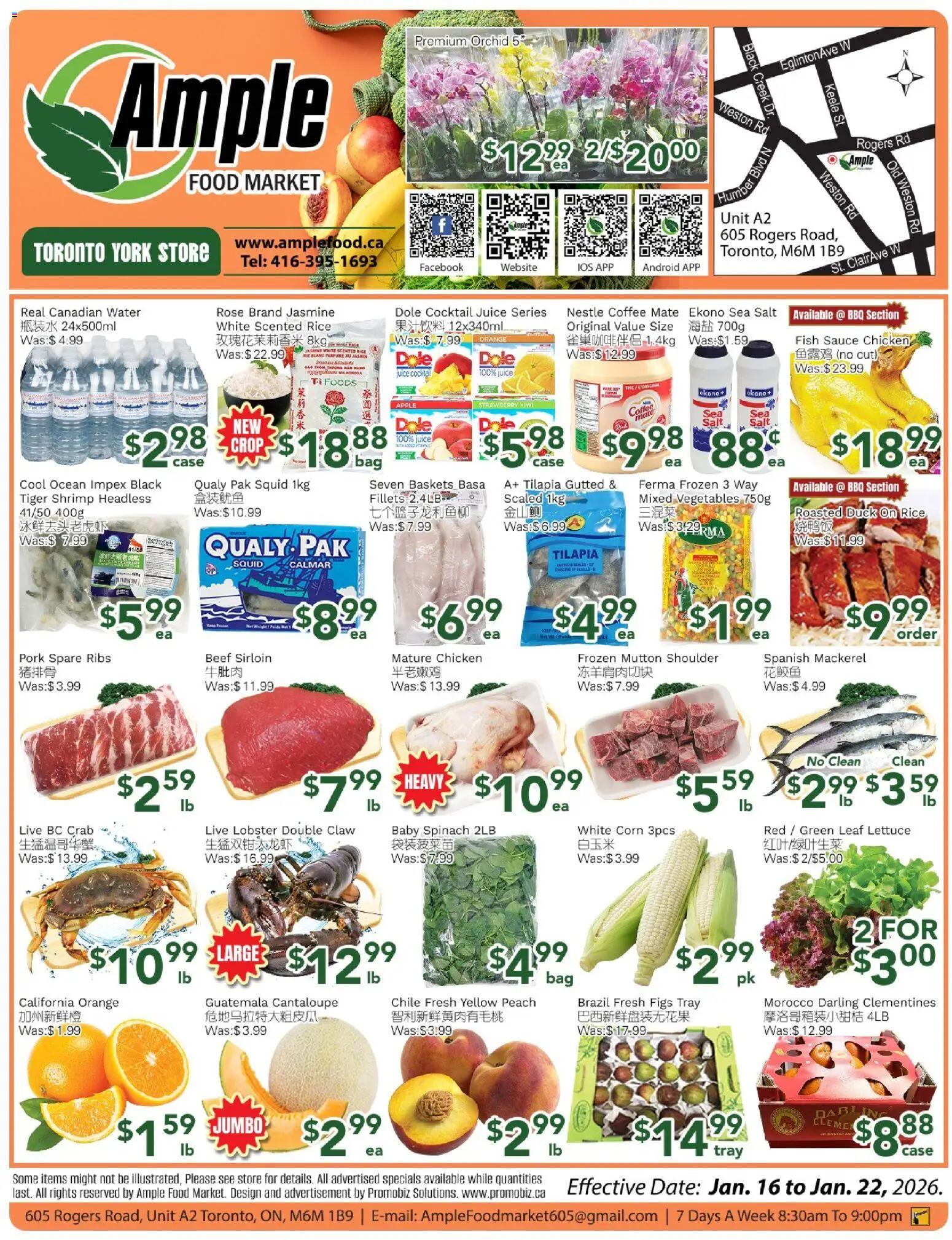 Ample Food Market flyer valid from 16.01.2026 | Page: 1
