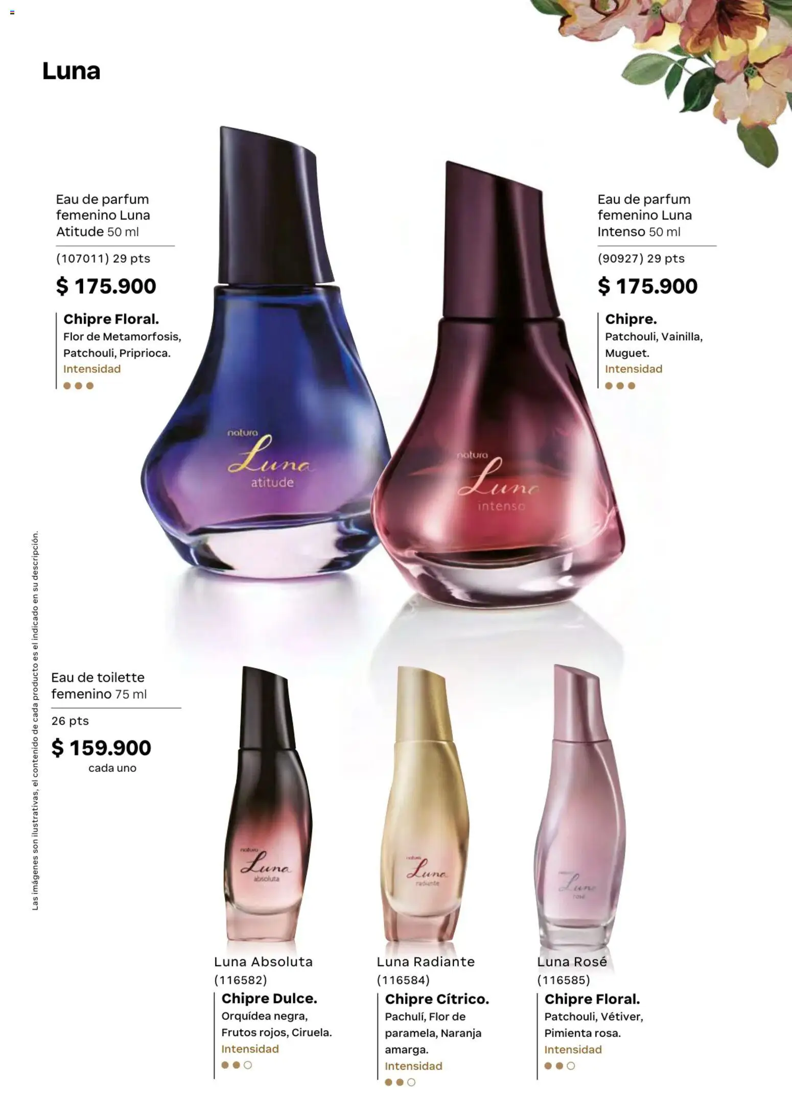 Natura revista - valida desde el 01.04.2026 | Página: 59