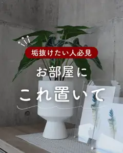 17.09.2025から有効なオファーを含む マナベインテリアハーツ - お部屋にこれ置いて
