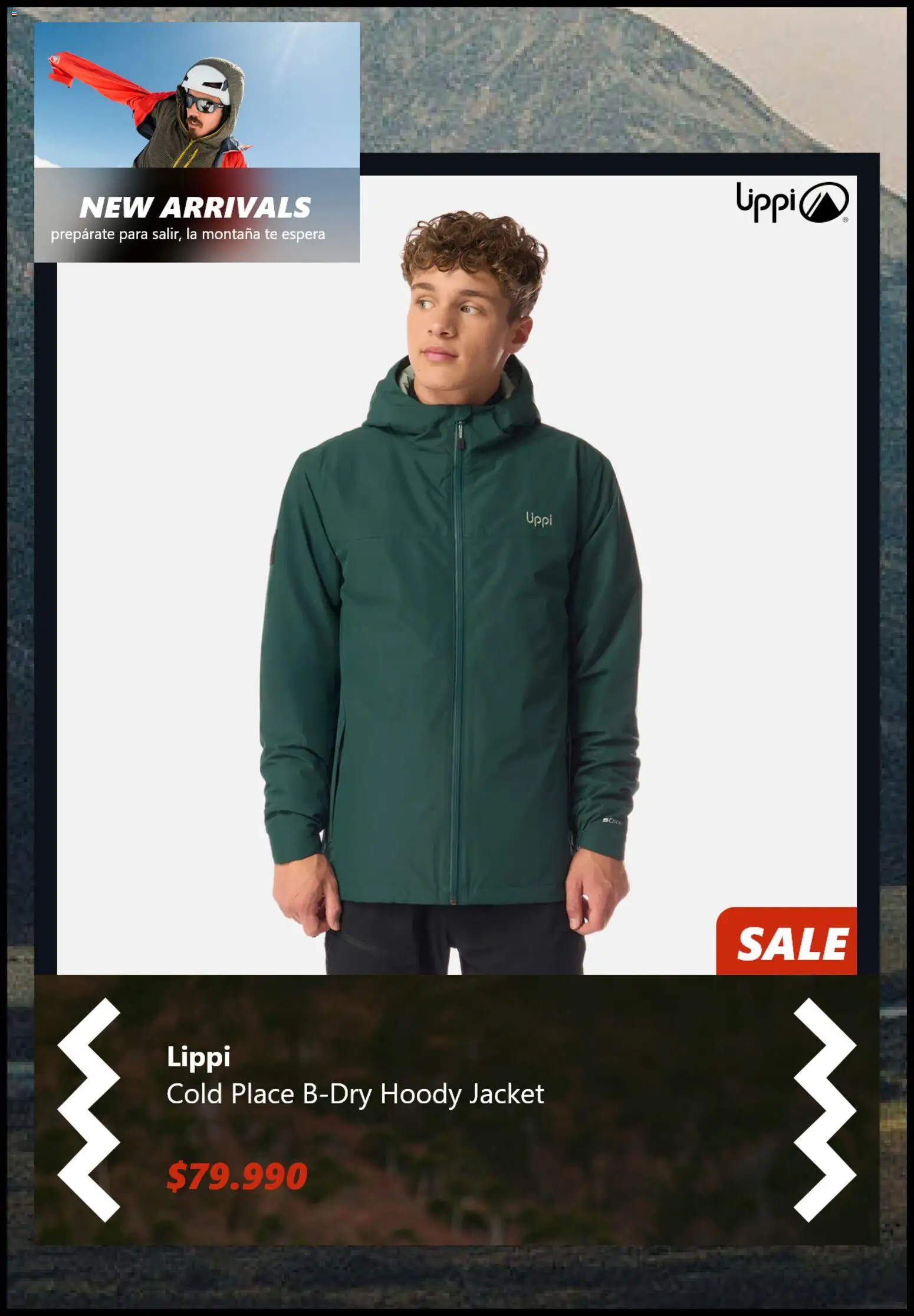 Lippi ofertas  │ válido desde el 19.03.2026 | Página: 2 | Productos: Té