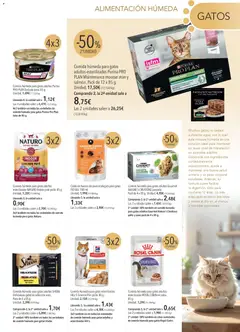 Vista previa de El Corte Inglés catálogo Mascota , nuevo folleto de la tienda, válido en México a partir del 01.02.2026 | Página: 13