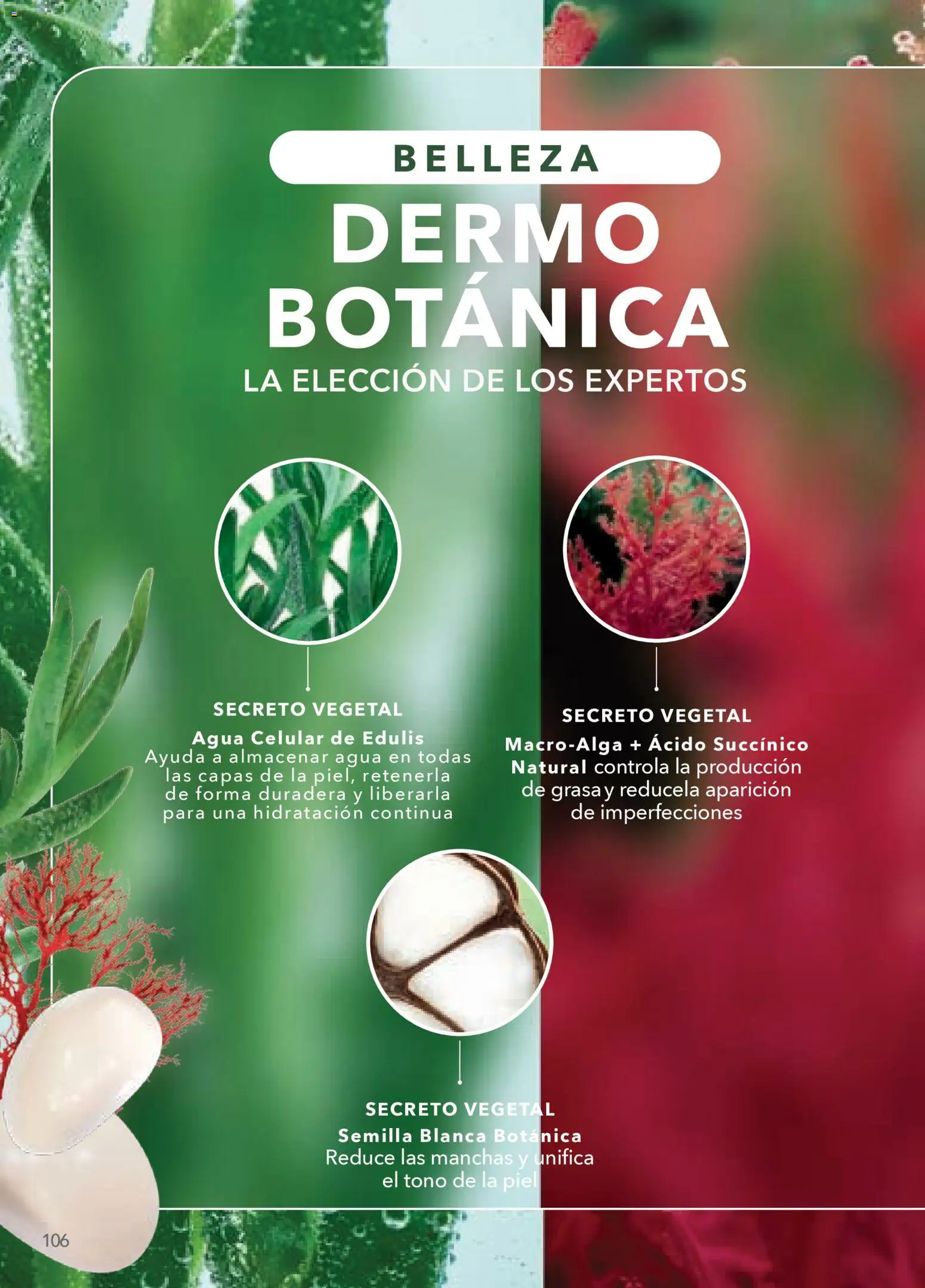 Nuevas ofertas de Yves Rocher válidas en toda la República Mexicana desde el 10.02.2026. ¡Encuentra las mejores ofertas en Yves Rocher campaña 3 2026! | Página: 104 | Productos: Agua