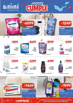 Vista previa NINI Mayorista - Ofertas válido desde el 09.03.2026 | Página: 11 | Productos: Polvo, Individual, Quitamanchas, Ropa