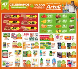 Nuevas ofertas de Arteli válidas en toda la República Mexicana desde el 28.07.2025. ¡Encuentra las mejores ofertas en Arteli - Folleto Arteli! | Página: 1 | Productos: Detergente, Gelatina, Suavizante, Acondicionador