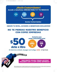 Alvi catálogo válido desde el 11.02.2026 | Página: 12 | Productos: Té