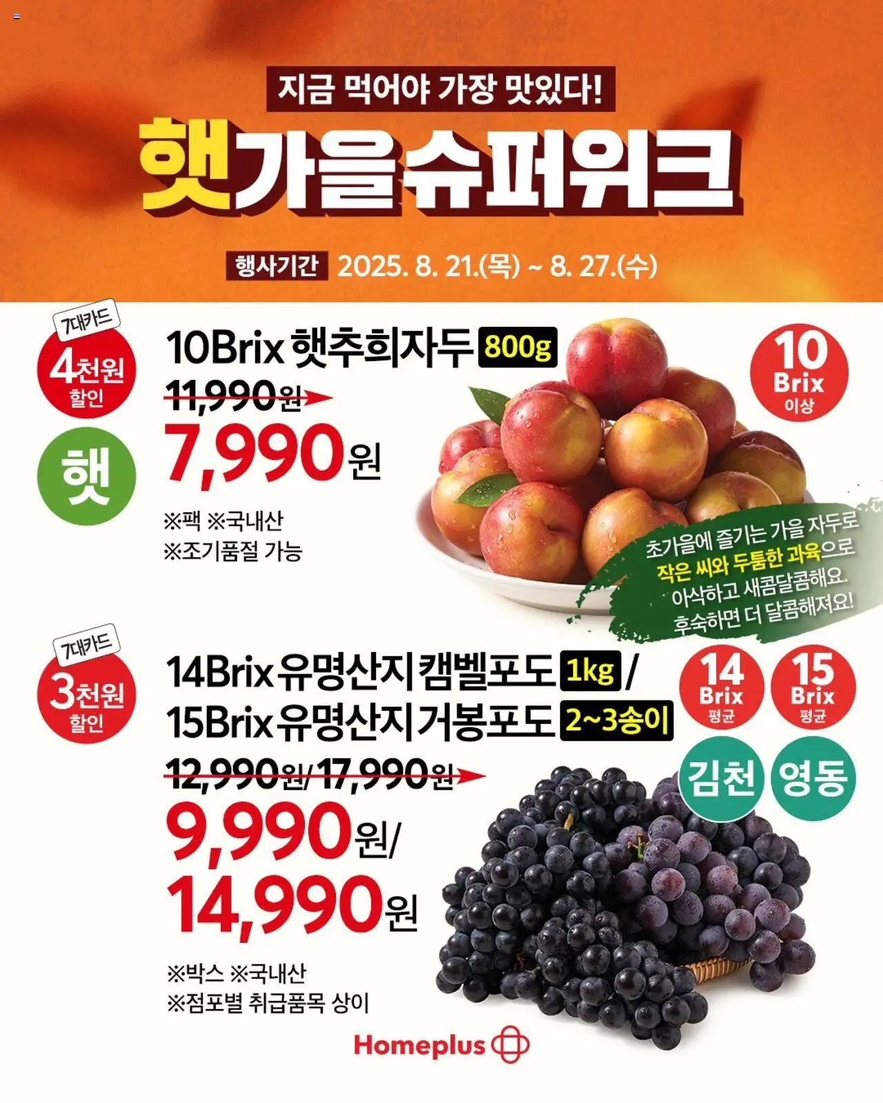  | 페이지: 4