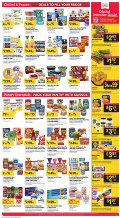 Preview of Basha's weekly ads valid from 19.11.2025 | Page: 3