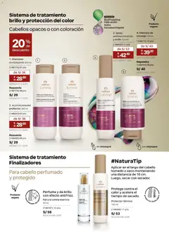 Vista previa de folleto Natura catálogo  - Ciclo 6 de la Natura válido desde 31.03.2026 | Página: 137 | Productos: Máscara, Shampoo, Acondicionador