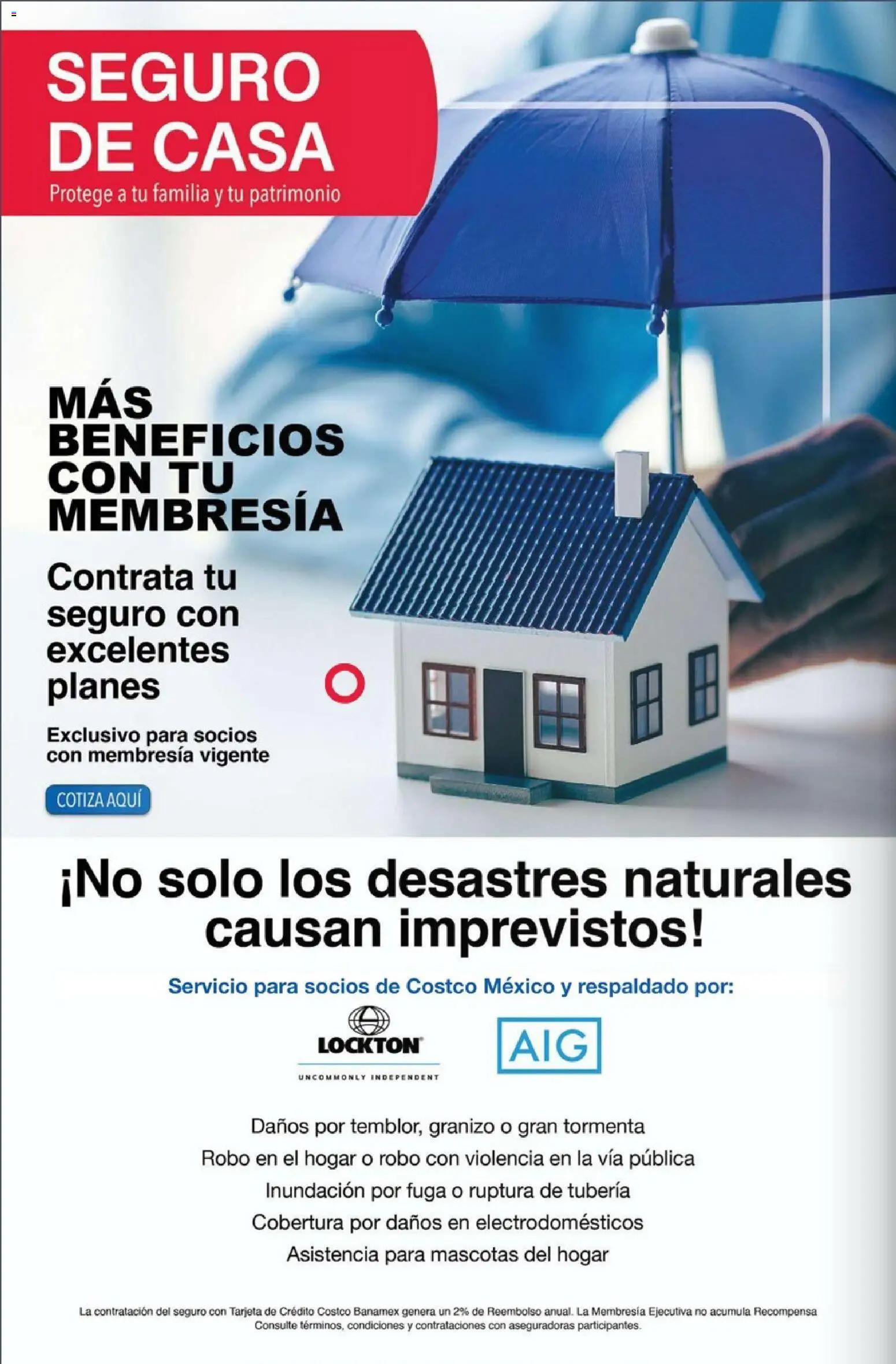 Nuevas ofertas de Costco válidas en toda la República Mexicana desde el 01.12.2025. ¡Encuentra las mejores ofertas en Costco Revista Diciembre! | Página: 46
