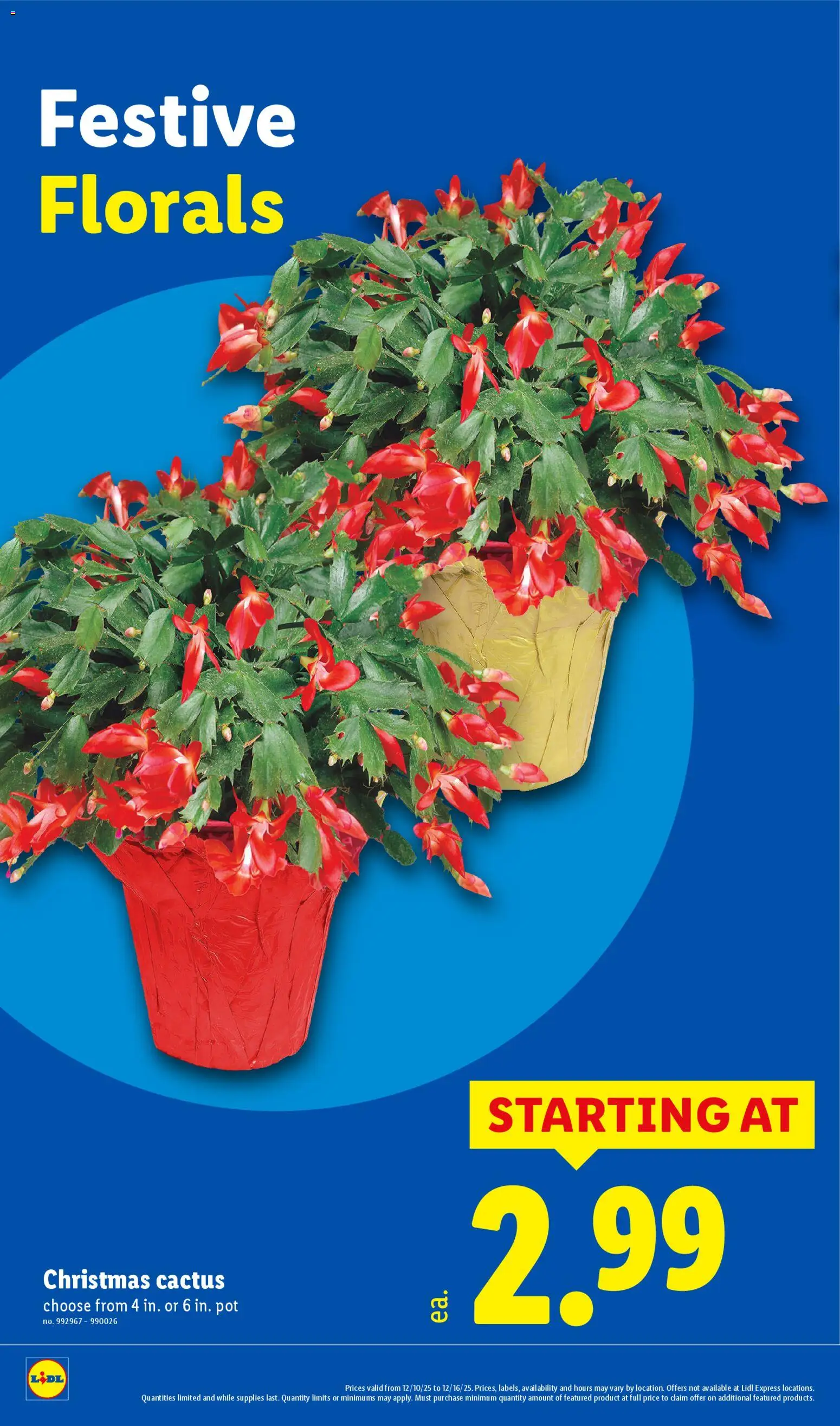 Lidl Weekly Ad - valid from 10.12.2025 | Page: 30