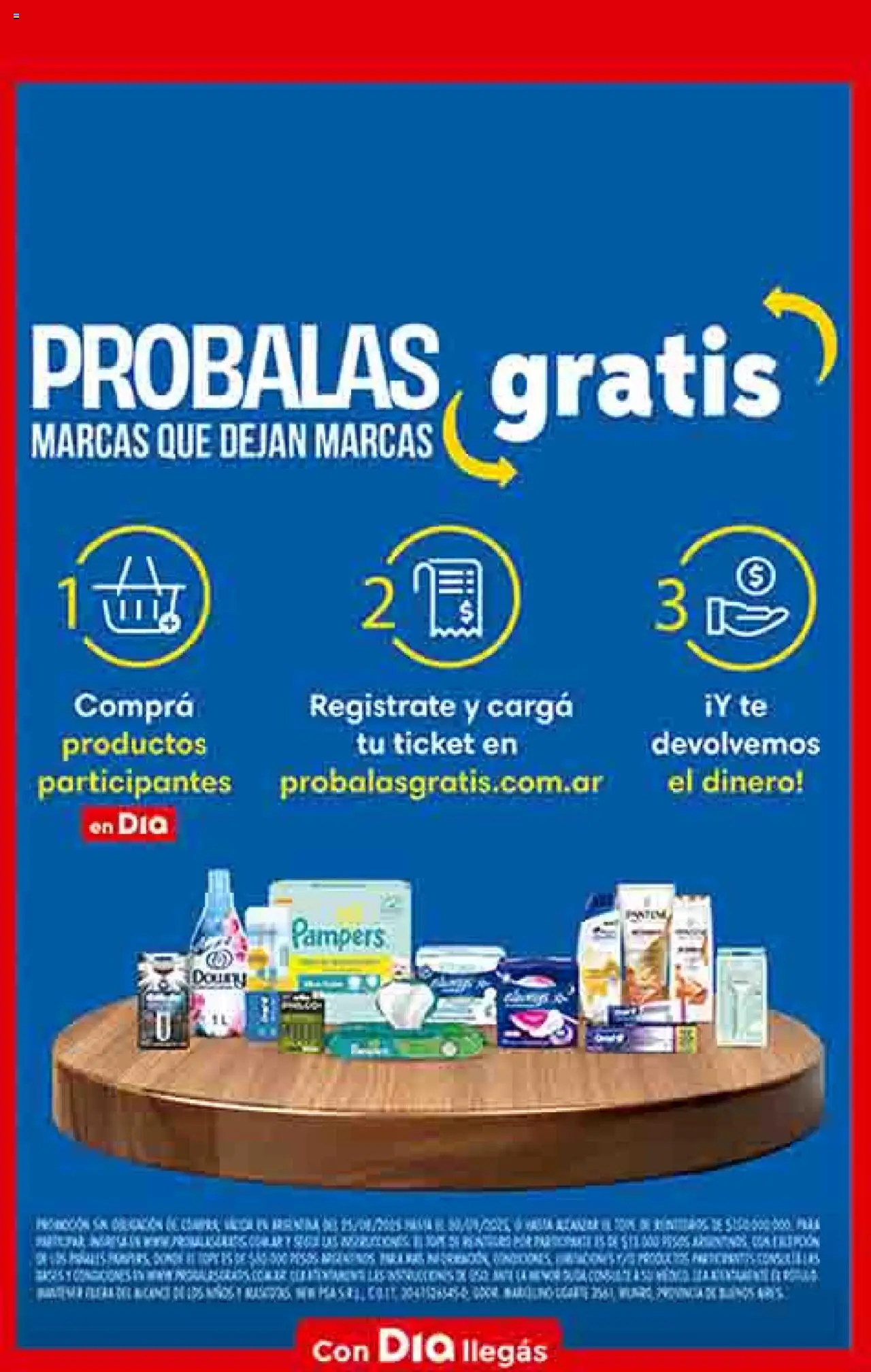 Dia - Ofertas - Salta y Jujuy │ válido desde el 17.09.2025 | Página: 15 | Productos: Té