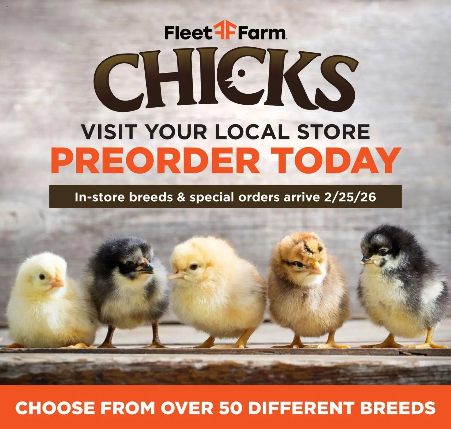 Mills Fleet Farm Weekly Ad - valid from 09.02.2026 | Page: 6