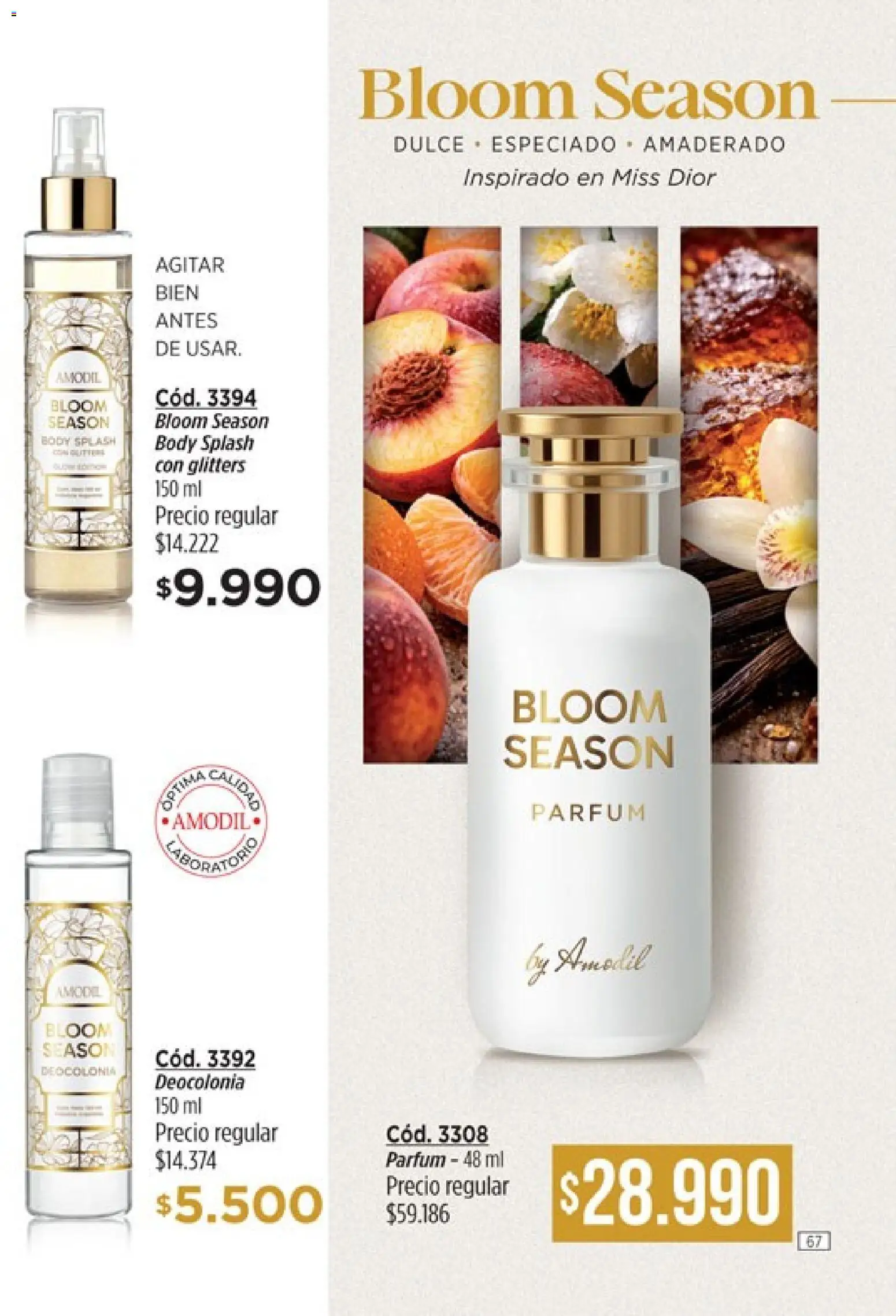 modil - Campaña 7 │ válido desde el 20.03.2026 | Página: 67 | Productos: Body