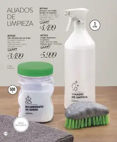 Vista previa Violetta catálogo válido desde el 01.01.2026 | Página: 118 | Productos: Vinagre, Cepillo