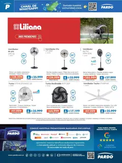 Vista previa Pardo catálogo válido desde el 06.01.2026 | Página: 8